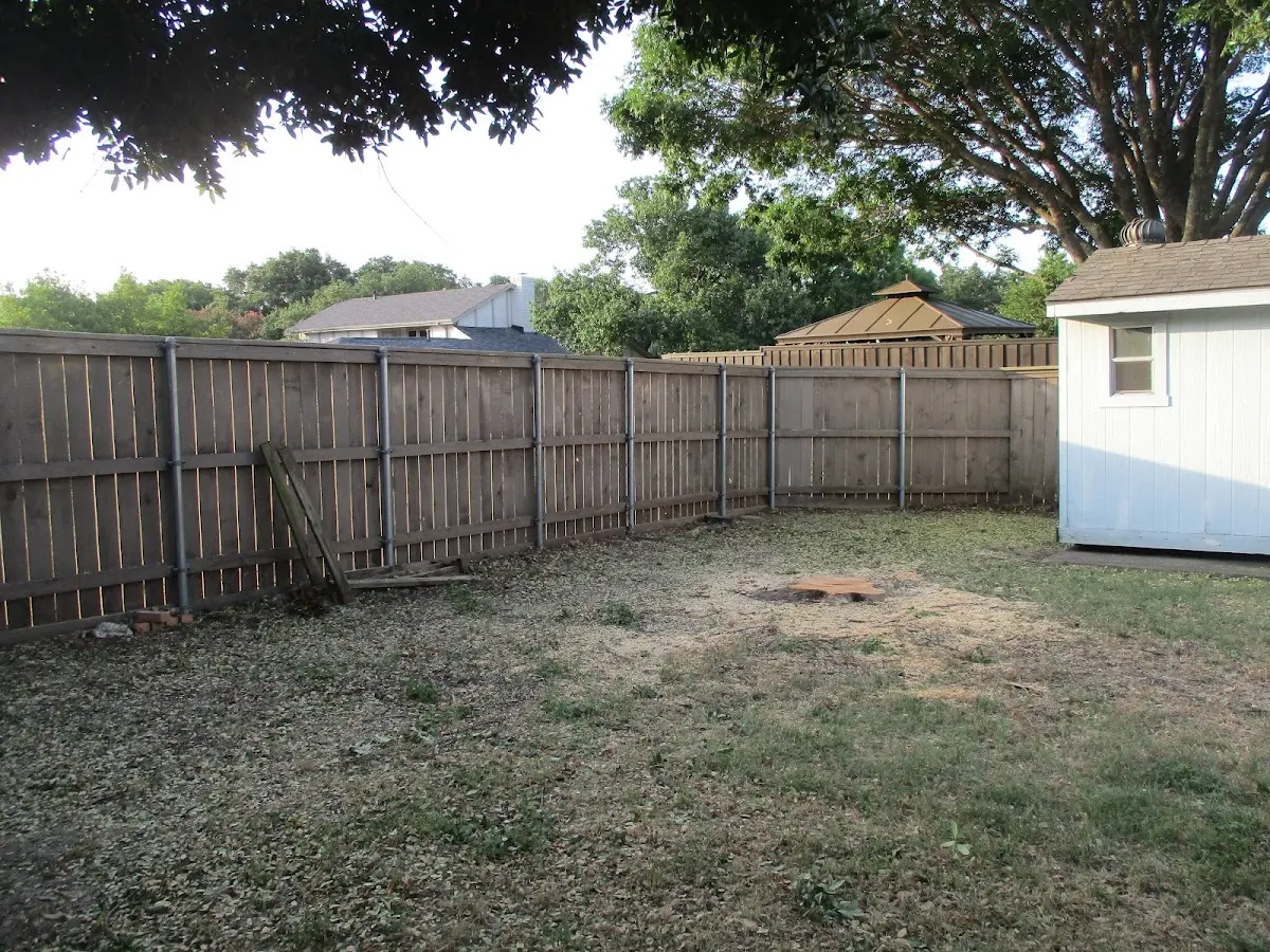 Cleared yard after professional tree removal in Leavenworth