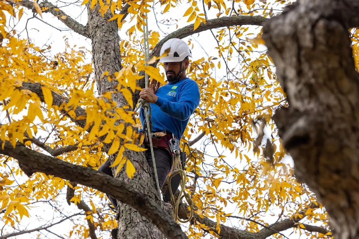 Skilled Storm Damage Cleanup crew working in Leavenworth